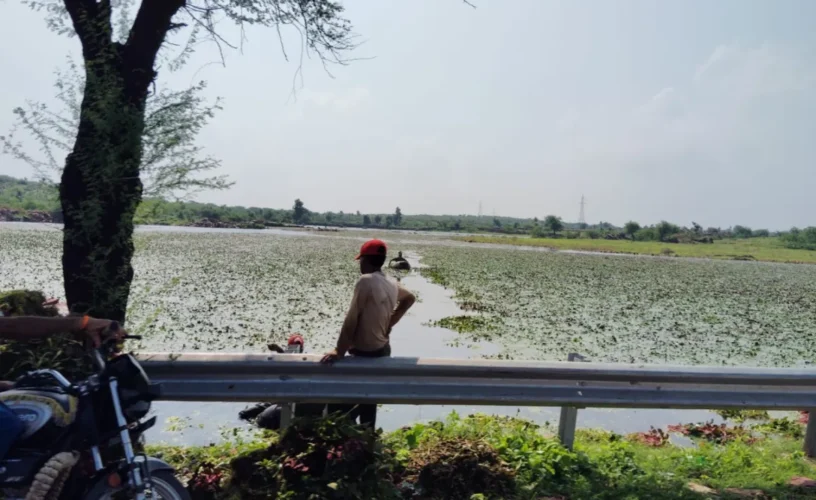 karaillake.png karaillake.png