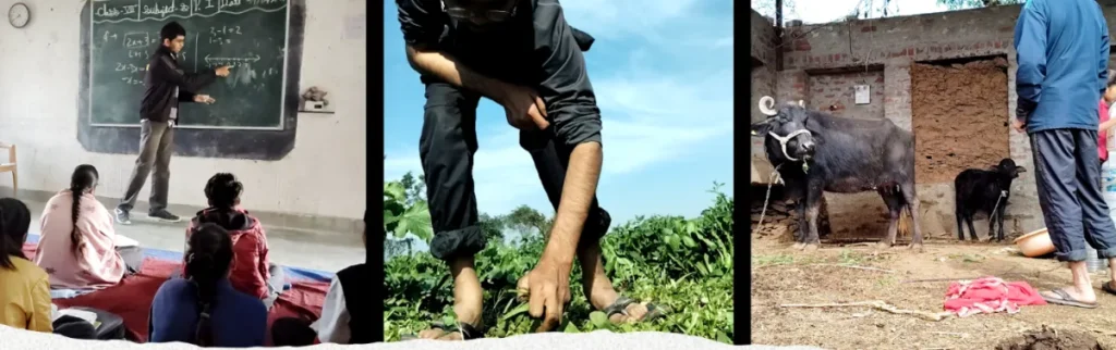 ME WORKING IN FIELDS AND SCHOOL